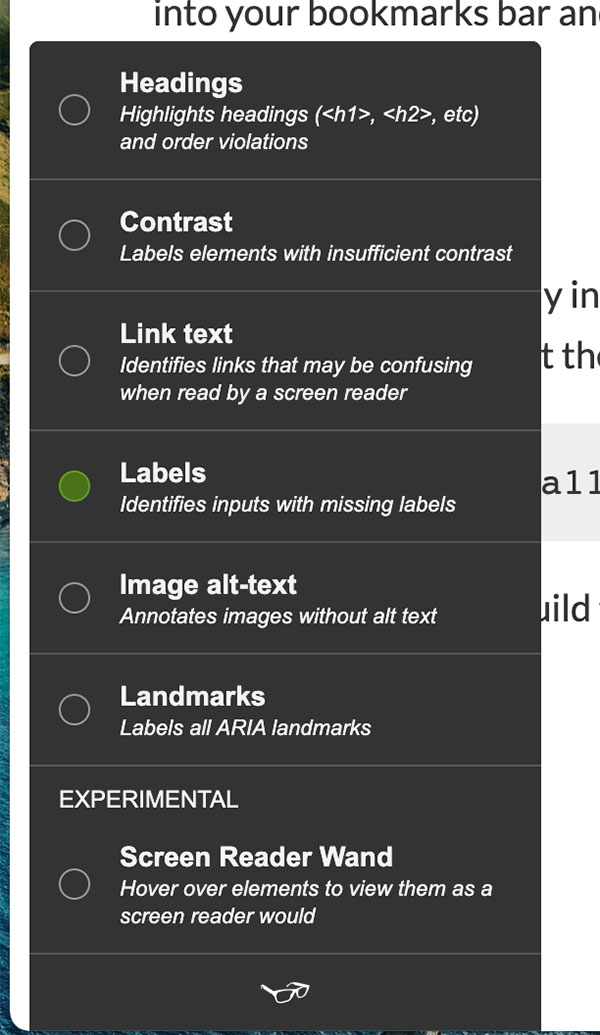 sample of testing options available when running Tota11y on a website