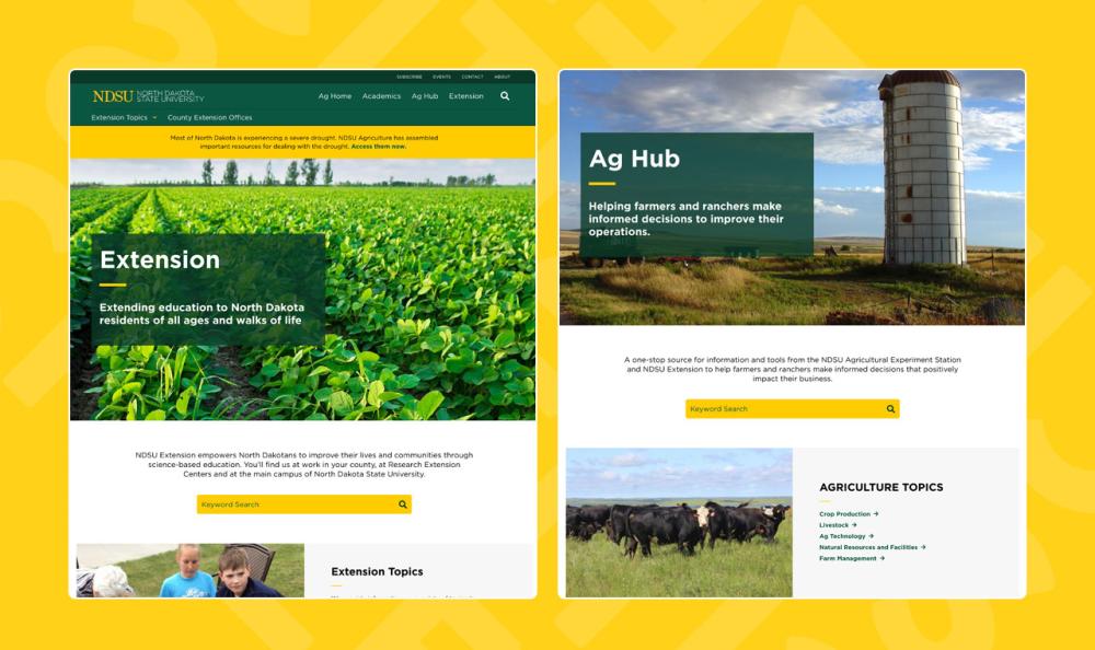 screenshot of NDSU website on desktop and mobile