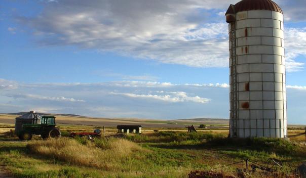 Grain silo in a sunny field