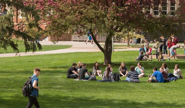 images of college students on an outdoor campus with grass and trees