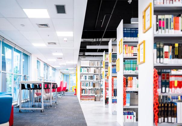 library collection organized on shelves