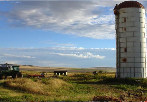 Grain silo in a sunny field