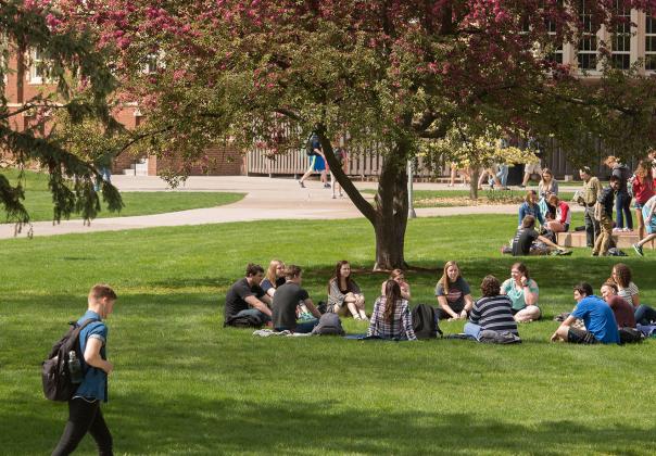 images of college students on an outdoor campus with grass and trees