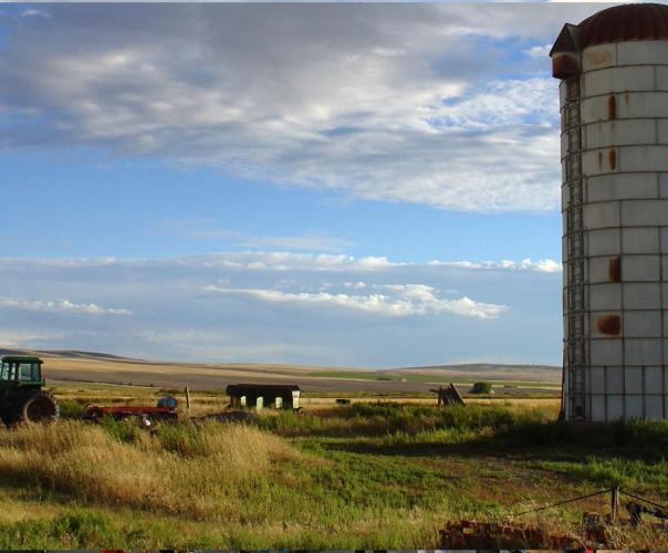 Grain silo in a sunny field
