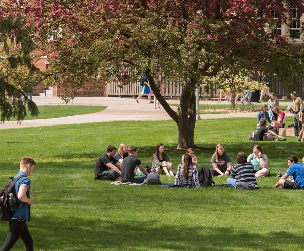 images of college students on an outdoor campus with grass and trees