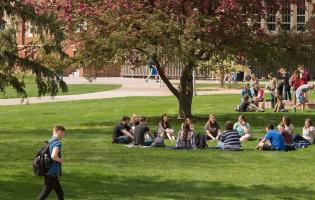 images of college students on an outdoor campus with grass and trees