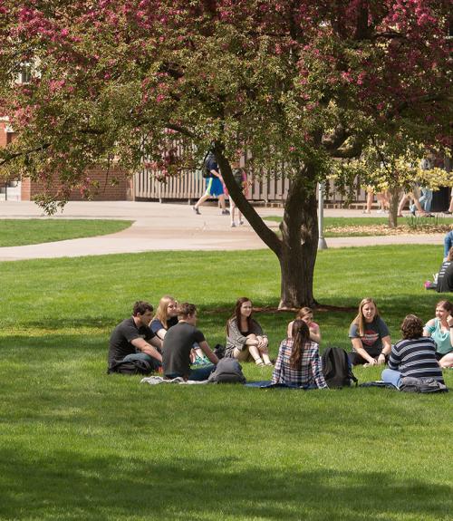 images of college students on an outdoor campus with grass and trees